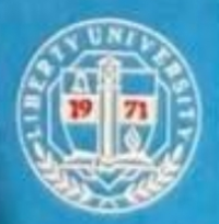 Custom Liberty University Doctoral Gown Tam & Hood Package-CA graduation